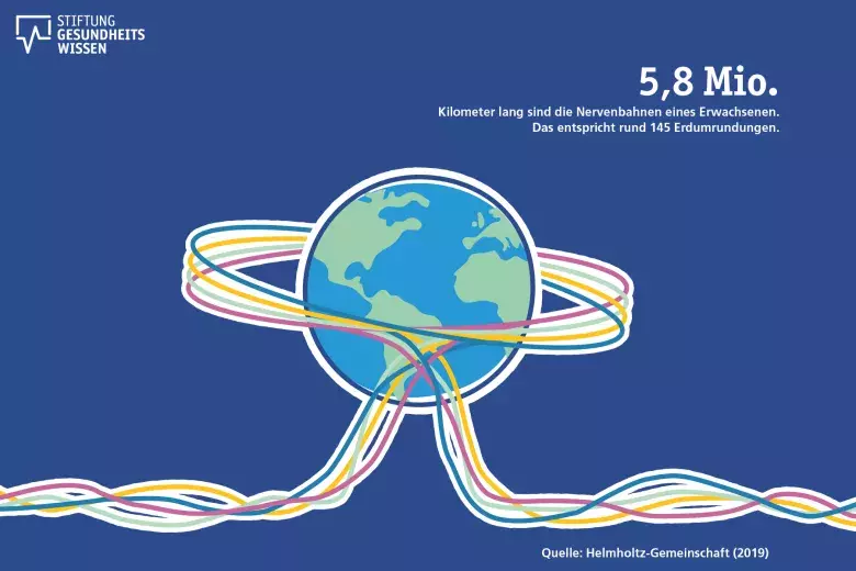 Zeichnung der Erde mit Nervenbahnen drum herum. 5,8 Mio. Kilometer sind die Nervenbahnen eines Erwachsenen lang - etwa 145 Erdumrundungen.