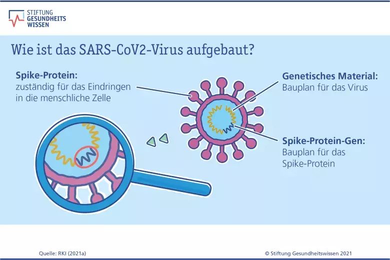 Grafik: Vergrößerung Corona-Virus